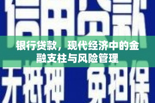阳东银行贷款，现代经济中的金融支柱与风险管理