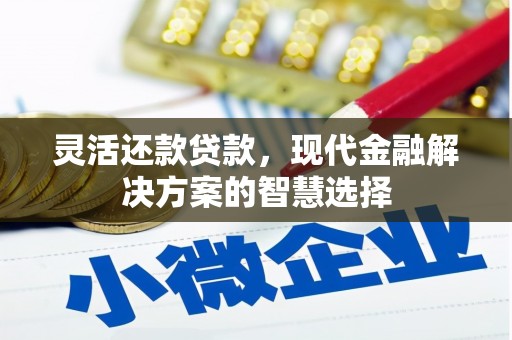 阳东灵活还款贷款，现代金融解决方案的智慧选择
