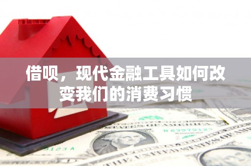 阳东借呗，现代金融工具如何改变我们的消费习惯