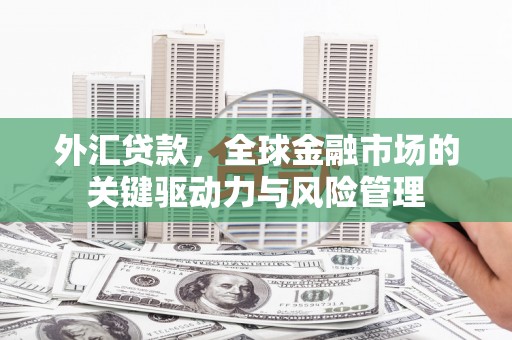 阳东外汇贷款，全球金融市场的关键驱动力与风险管理