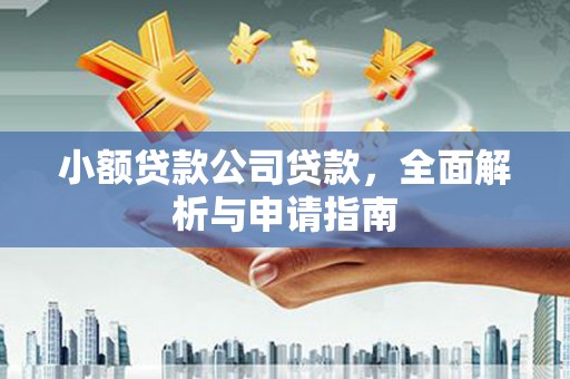 阳东小额贷款公司贷款，全面解析与申请指南