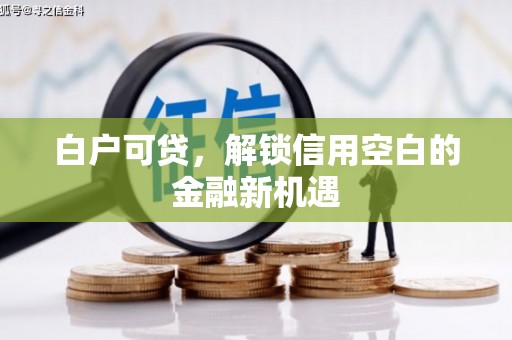 阳东白户可贷，解锁信用空白的金融新机遇