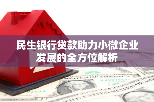 阳东民生银行贷款助力小微企业发展的全方位解析