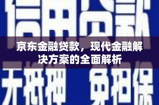 阳东京东金融贷款，现代金融解决方案的全面解析