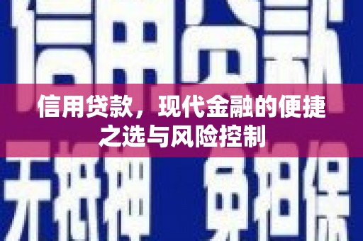 阳东信用贷款，现代金融的便捷之选与风险控制