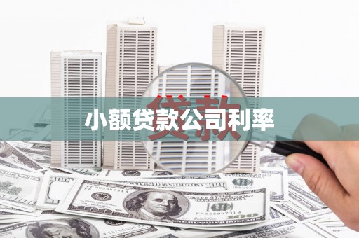 阳东小额贷款公司利率