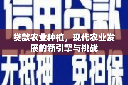 阳东贷款农业种植，现代农业发展的新引擎与挑战