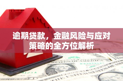 阳东逾期贷款，金融风险与应对策略的全方位解析