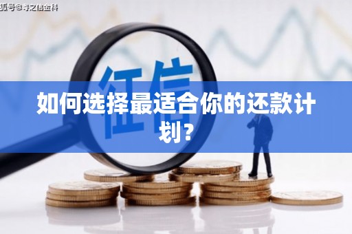 阳东如何选择最适合你的还款计划？