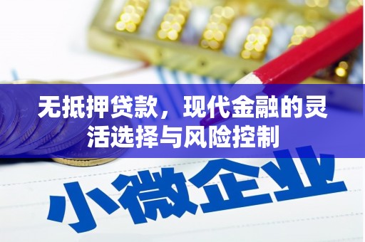 阳东无抵押贷款，现代金融的灵活选择与风险控制