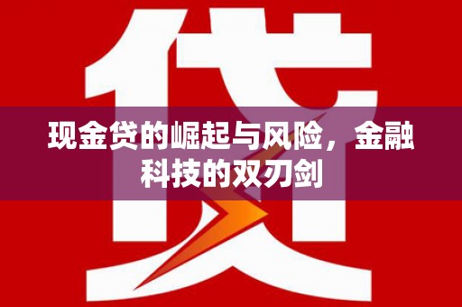阳东现金贷的崛起与风险，金融科技的双刃剑