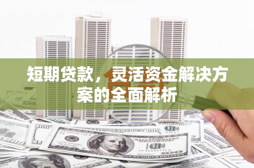 阳东短期贷款，灵活资金解决方案的全面解析