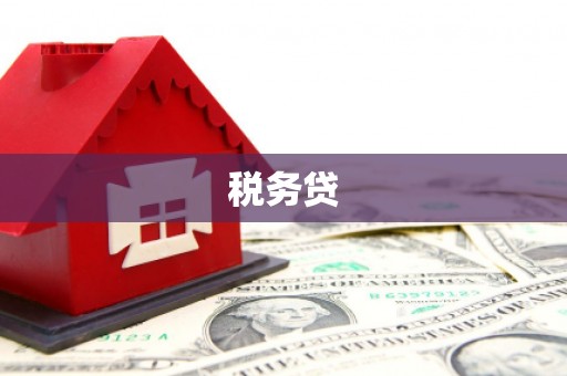 阳东税务贷