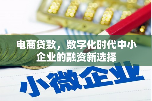 阳东电商贷款，数字化时代中小企业的融资新选择