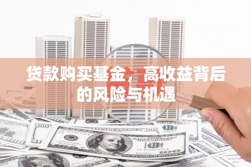 阳东贷款购买基金，高收益背后的风险与机遇