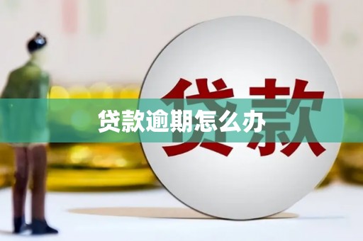 阳东贷款逾期怎么办