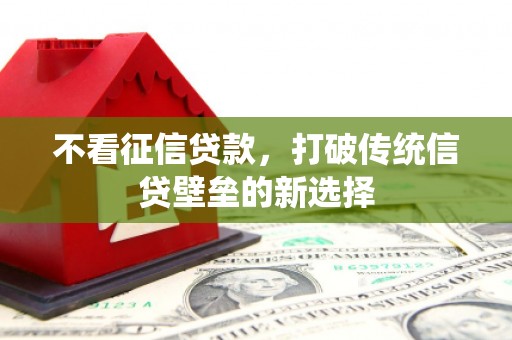 阳东不看征信贷款，打破传统信贷壁垒的新选择