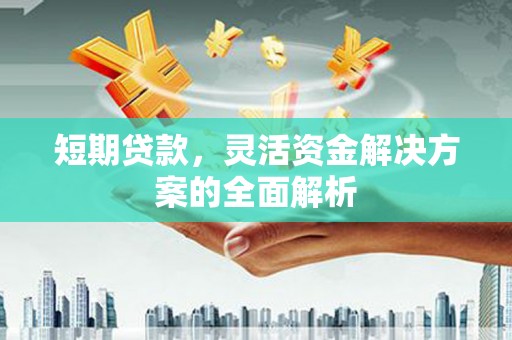 阳东短期贷款，灵活资金解决方案的全面解析