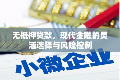 阳东无抵押贷款，现代金融的灵活选择与风险控制