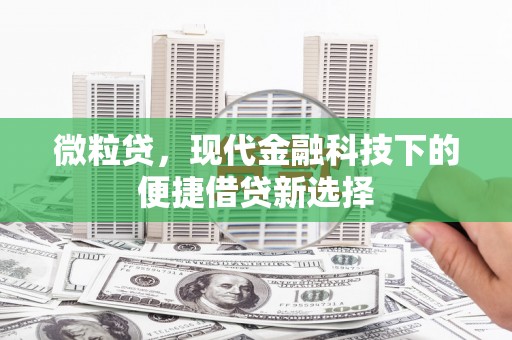 阳东微粒贷，现代金融科技下的便捷借贷新选择