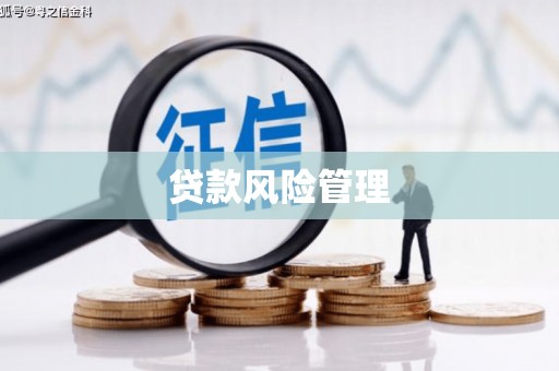 阳东贷款风险管理