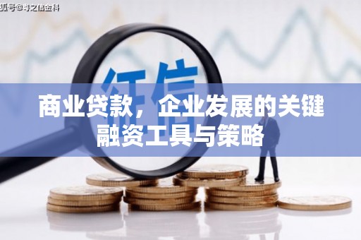 阳东商业贷款，企业发展的关键融资工具与策略