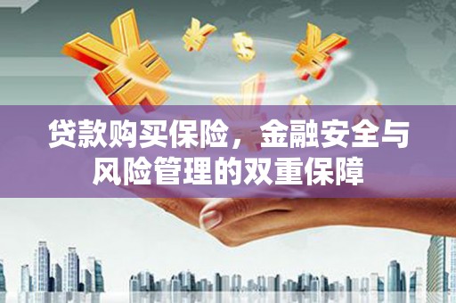 阳东贷款购买保险，金融安全与风险管理的双重保障