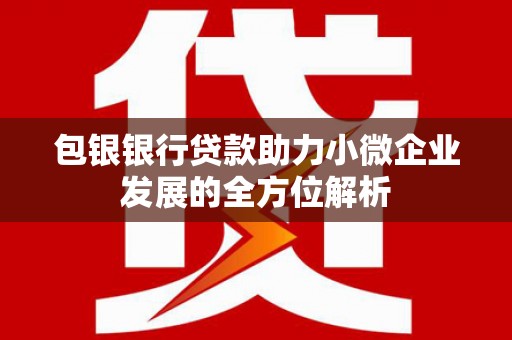 阳东包银银行贷款助力小微企业发展的全方位解析
