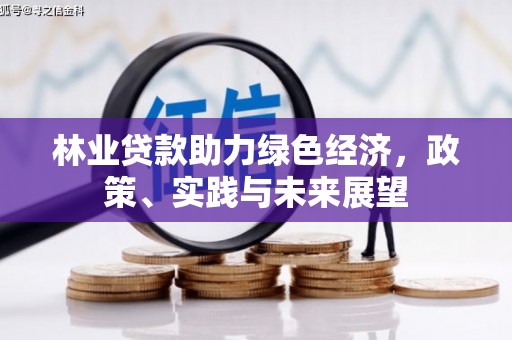 阳东林业贷款助力绿色经济，政策、实践与未来展望