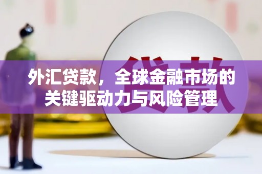 阳东外汇贷款，全球金融市场的关键驱动力与风险管理