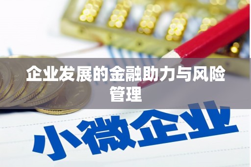 阳东企业发展的金融助力与风险管理