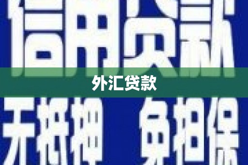 阳东外汇贷款
