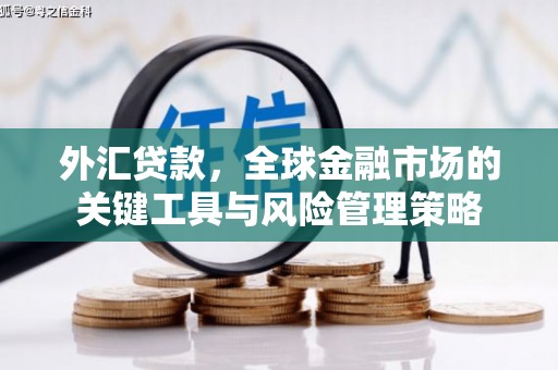 阳东外汇贷款，全球金融市场的关键工具与风险管理策略