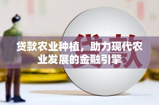 阳东贷款农业种植，助力现代农业发展的金融引擎