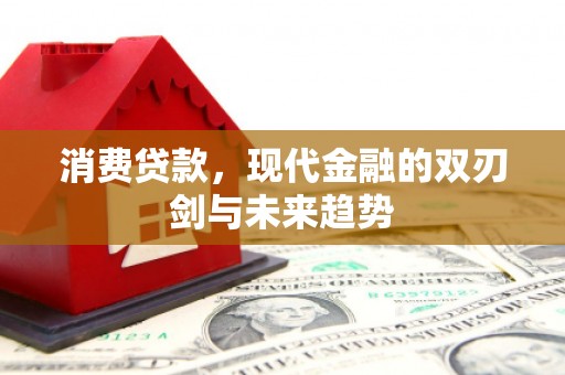 阳东消费贷款，现代金融的双刃剑与未来趋势