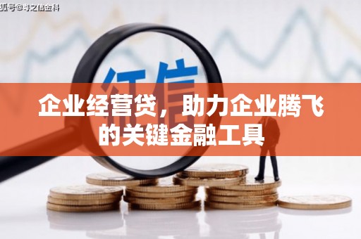 阳东企业经营贷，助力企业腾飞的关键金融工具