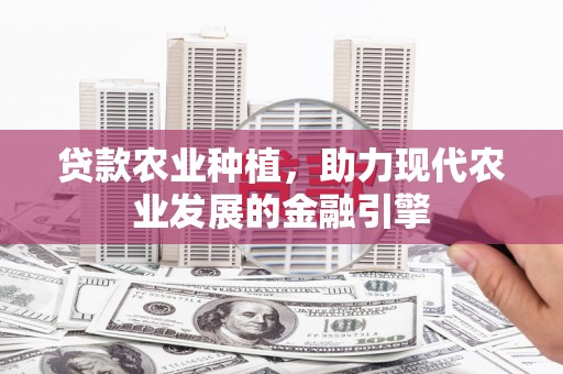 阳东贷款农业种植，助力现代农业发展的金融引擎