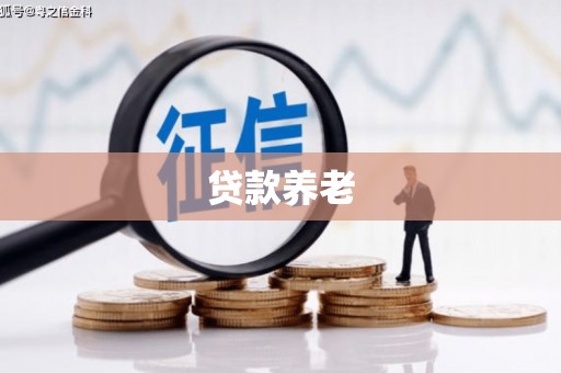 阳东贷款养老