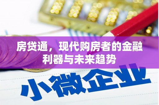 阳东房贷通，现代购房者的金融利器与未来趋势