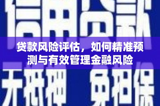 阳东贷款风险评估，如何精准预测与有效管理金融风险