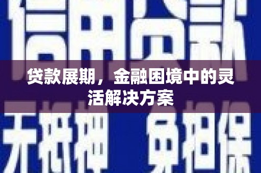阳东贷款展期，金融困境中的灵活解决方案