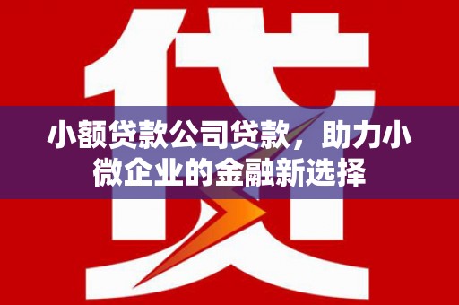 阳东小额贷款公司贷款，助力小微企业的金融新选择