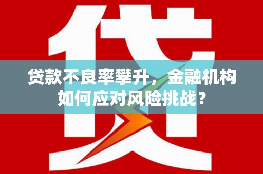 阳东贷款不良率攀升，金融机构如何应对风险挑战？