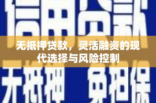 阳东无抵押贷款，灵活融资的现代选择与风险控制