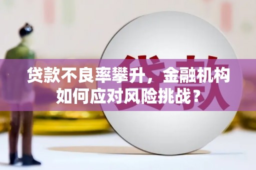 阳东贷款不良率攀升，金融机构如何应对风险挑战？