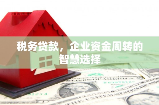 阳东税务贷款，企业资金周转的智慧选择