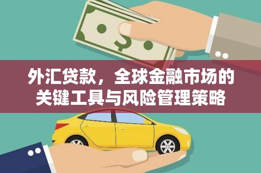 阳东外汇贷款，全球金融市场的关键工具与风险管理策略