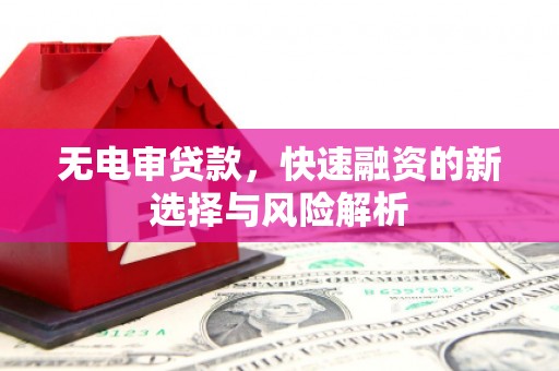 阳东无电审贷款，快速融资的新选择与风险解析