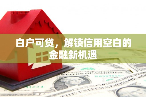 阳东白户可贷，解锁信用空白的金融新机遇