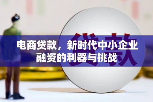阳东电商贷款，新时代中小企业融资的利器与挑战